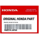 Kit de Distribution Honda BF50