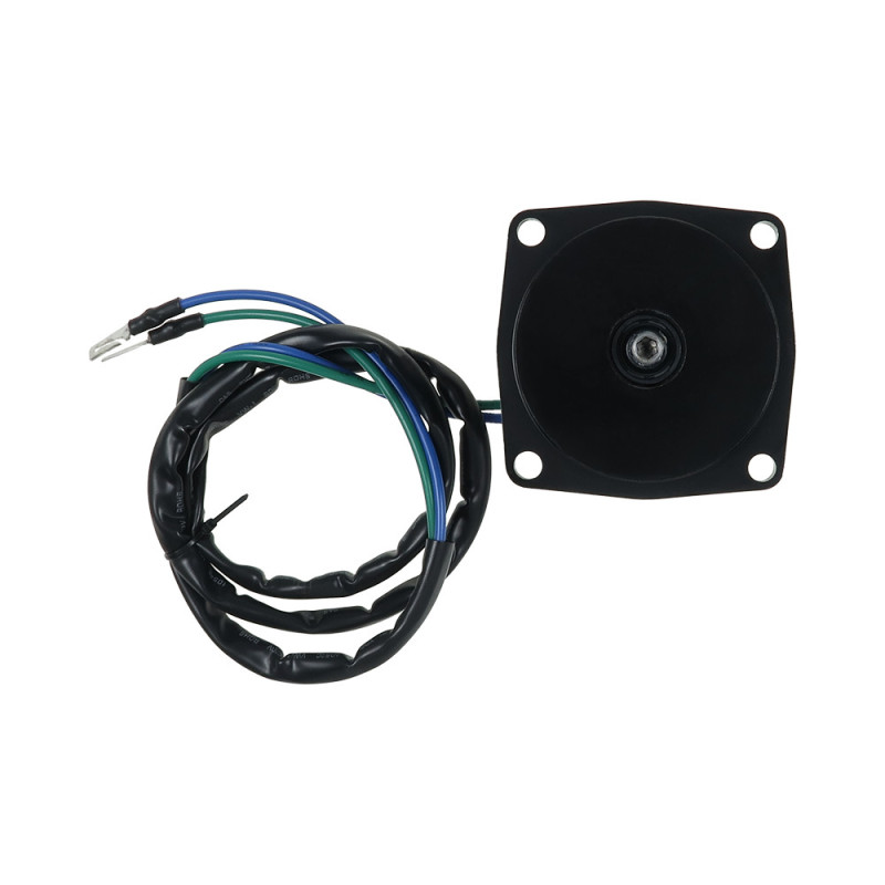 Moteur électrique EVINRUDE E40TLE